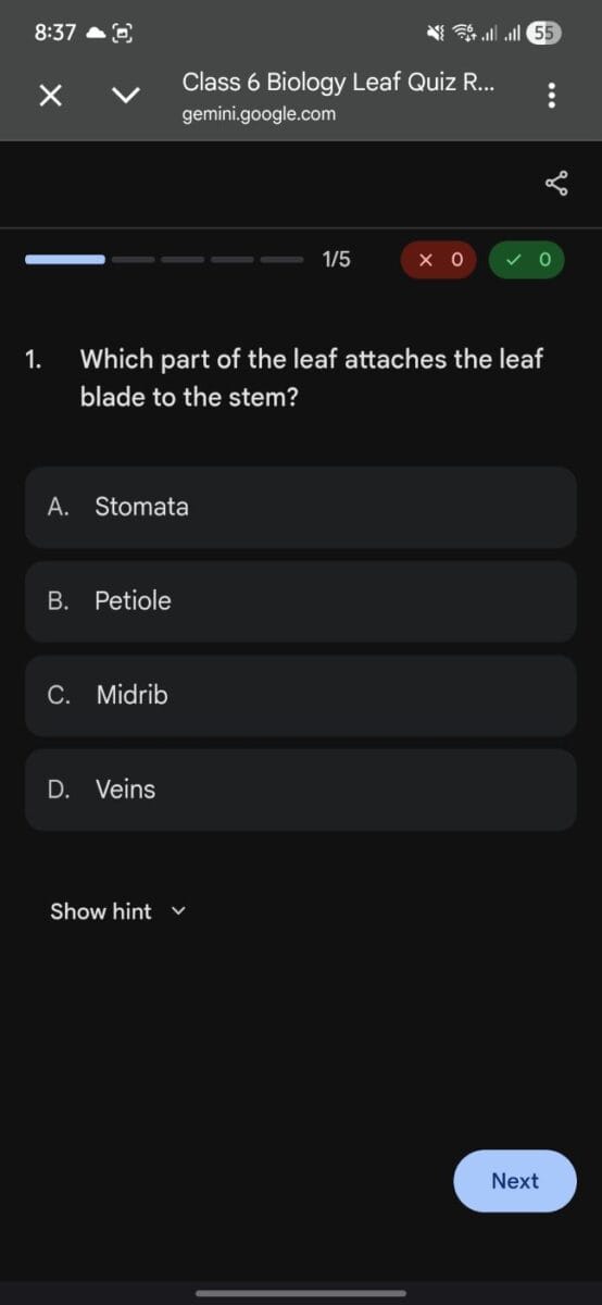 Interactive Biology quiz question about leaf structure on Gemini mobile app