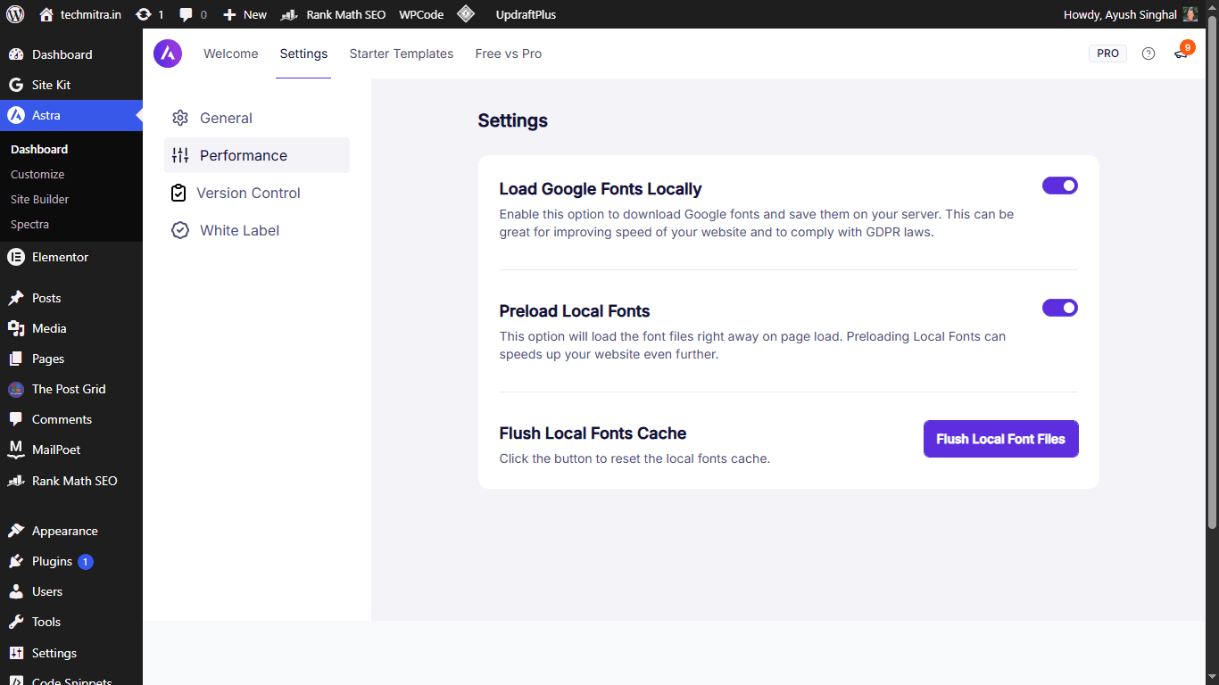 Screenshot of Astra Theme Performance settings showing "Load Google Fonts Locally" and "Preload Local Fonts" options toggled on.