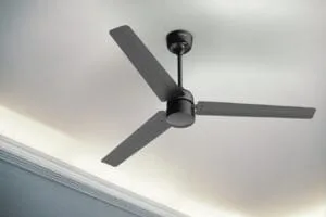 Oakter BLDC Ceiling Fan Launched at ₹3,249: