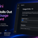 Gemini launched usage dashboard