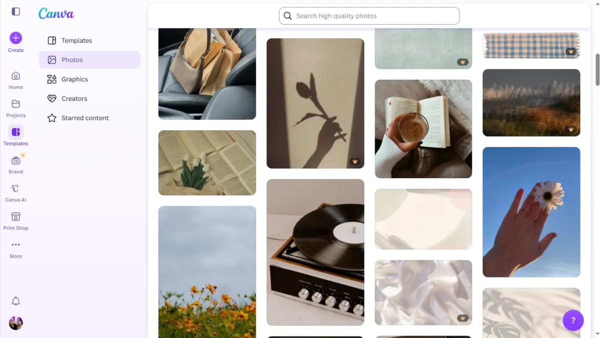 Screenshot Canva free photo dashboard